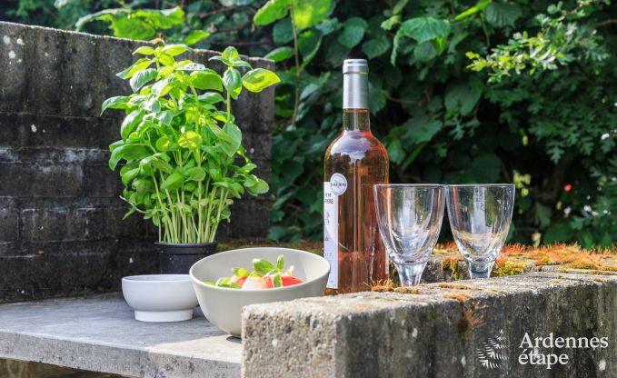 Ferienhaus Vielsalm 9 Pers. Ardennen