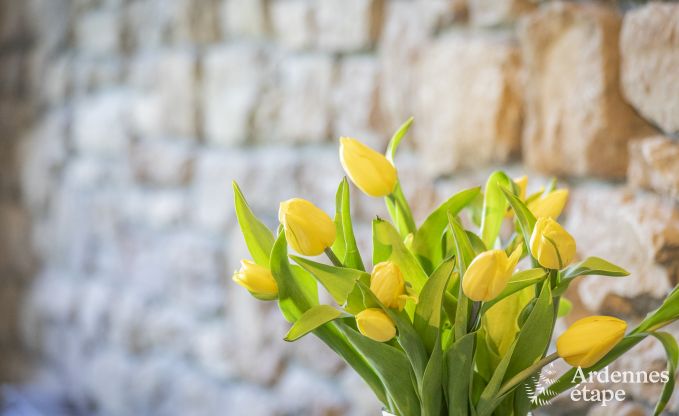 Ferienhaus Vielsalm 14 Pers. Ardennen