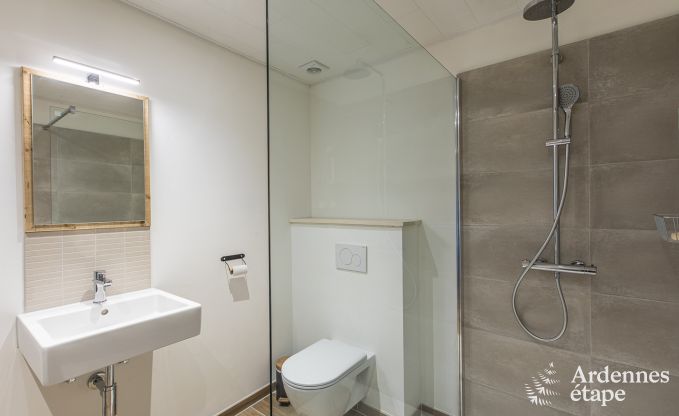 Ferienhaus Vielsalm 14 Pers. Ardennen