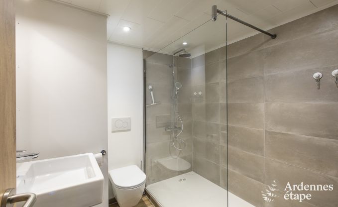 Ferienhaus Vielsalm 14 Pers. Ardennen