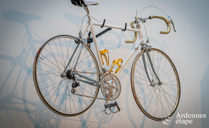 Ferienhaus Vielsalm 9 Pers. Ardennen