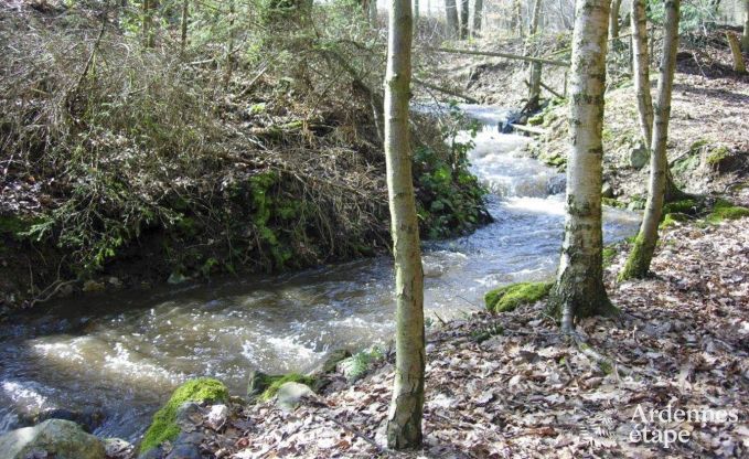 Ferienhaus Vielsalm 4/5 Pers. Ardennen