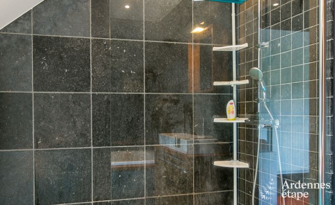 Ferienhaus Vielsalm 24 Pers. Ardennen Wellness