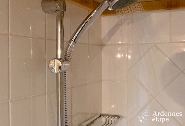 Ferienhaus Vielsalm 28 Pers. Ardennen Wellness