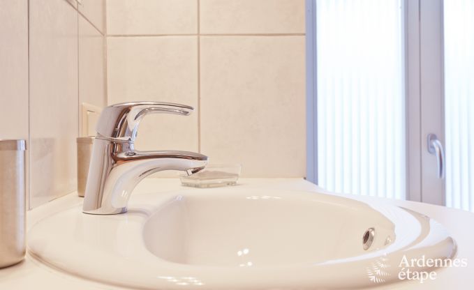 Ferienhaus Vielsalm 10 Pers. Ardennen Wellness