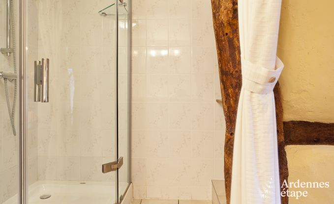 Ferienhaus Vielsalm 10 Pers. Ardennen Wellness