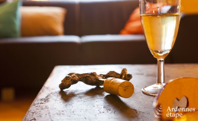 Ferienhaus Vielsalm 10 Pers. Ardennen Wellness