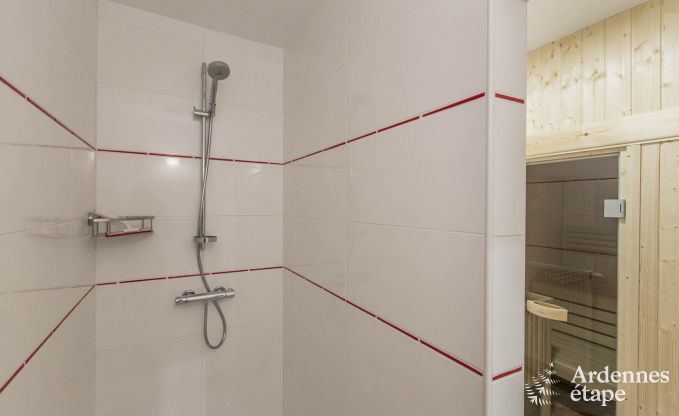 Ferienhaus Vielsalm 12 Pers. Ardennen Wellness