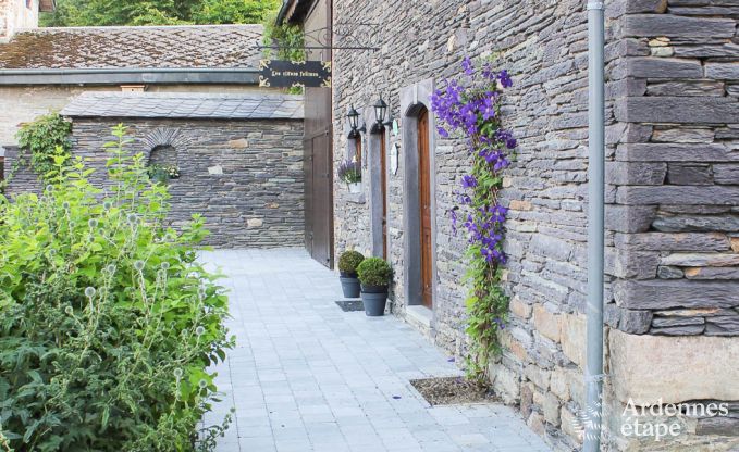 Ferienhaus Vielsalm 12 Pers. Ardennen Wellness