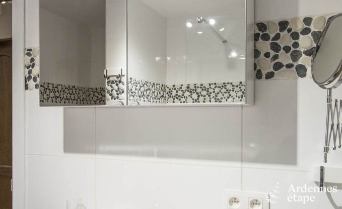 Ferienhaus Vielsalm 12 Pers. Ardennen Wellness