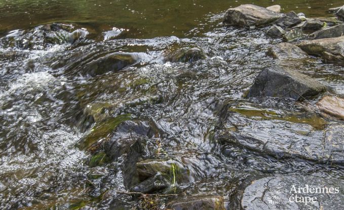 Ferienhaus Vielsalm 10 Pers. Ardennen Wellness