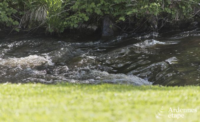 Ferienhaus Vielsalm 10 Pers. Ardennen Wellness