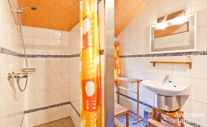 Ferienhaus Vielsalm 10 Pers. Ardennen Wellness