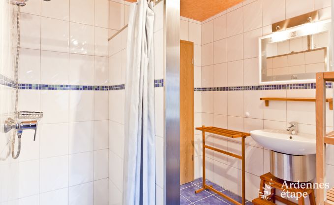 Ferienhaus Vielsalm 10 Pers. Ardennen Wellness