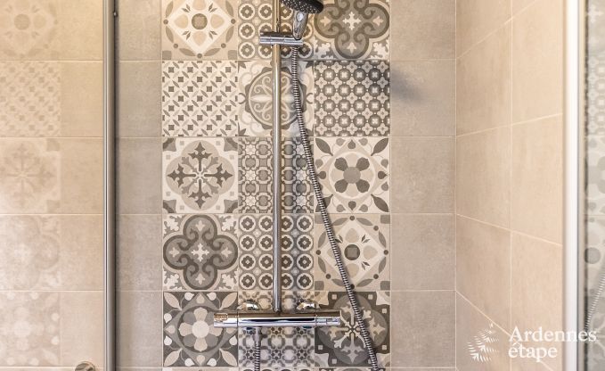 Ferienhaus Vielsalm 9 Pers. Ardennen Wellness