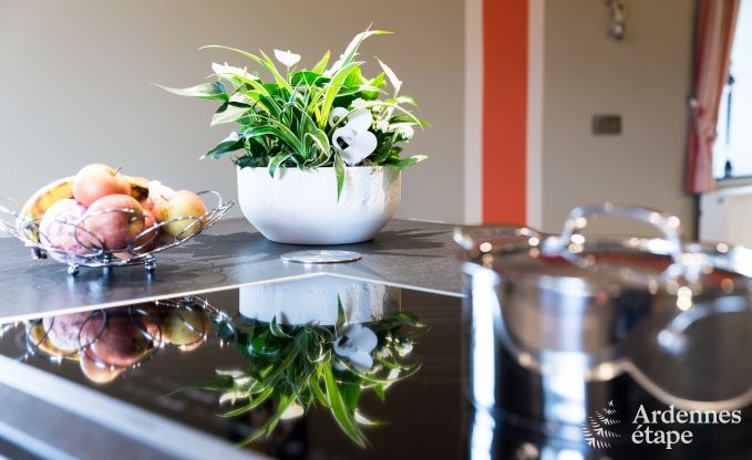 Ferienhaus Vielsalm 9 Pers. Ardennen Wellness