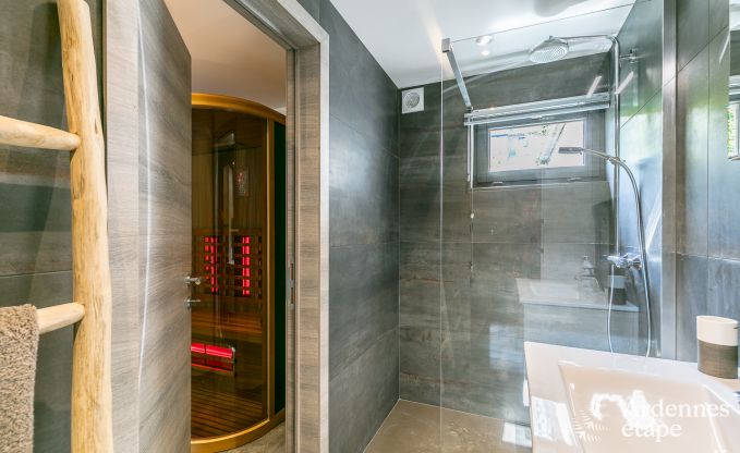 Ferienhaus Vielsalm 6 Pers. Ardennen Wellness