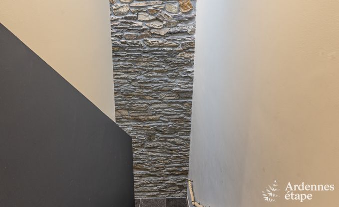 Ferienhaus Vielsalm 8 Pers. Ardennen Wellness