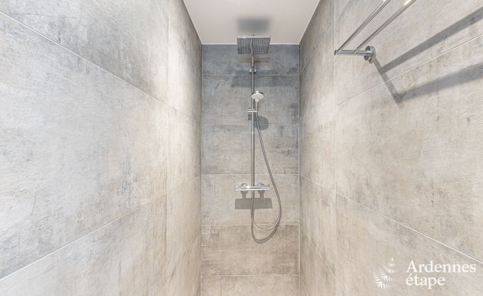 Ferienhaus Vielsalm 8 Pers. Ardennen Wellness