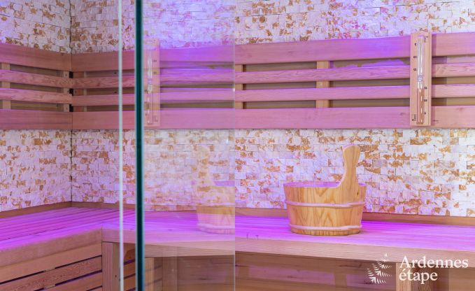 Komfortables und modernes Ferienhaus im Wald, Vielsalm - Ardennen