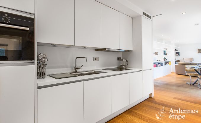 Ferienhaus Vielsalm 13/15 Pers. Ardennen Schwimmbad Wellness