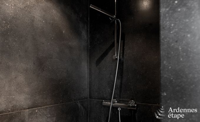 Ferienhaus Vielsalm 13/15 Pers. Ardennen Schwimmbad Wellness