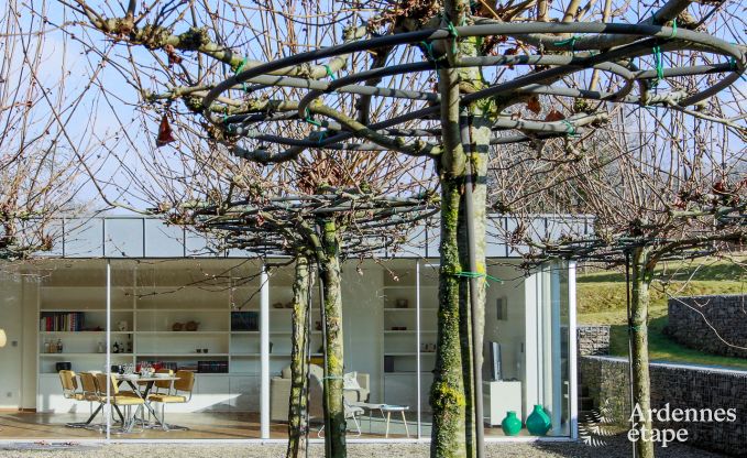 Ferienhaus Vielsalm 13/15 Pers. Ardennen Schwimmbad Wellness