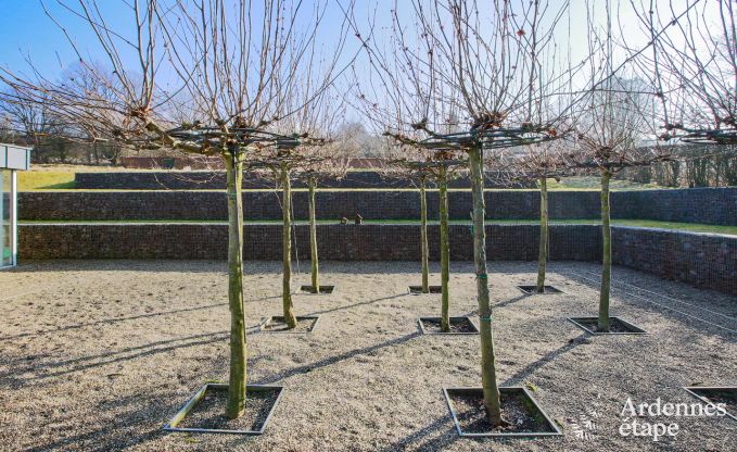 Ferienhaus Vielsalm 13/15 Pers. Ardennen Schwimmbad Wellness