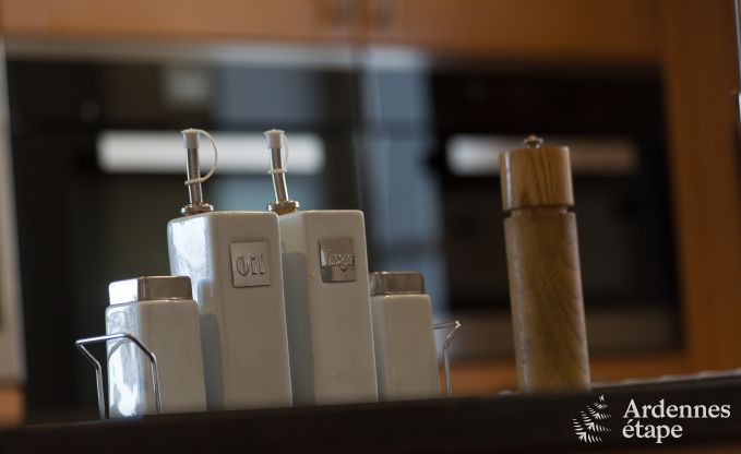 Ferienhaus Vielsalm 13/15 Pers. Ardennen Schwimmbad Wellness