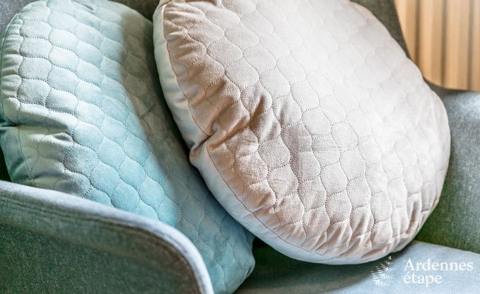 Luxusvilla Vielsalm 7/8 Pers. Ardennen Wellness