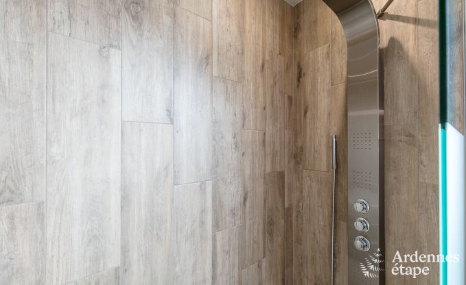 Luxusvilla Vielsalm 7/8 Pers. Ardennen Wellness