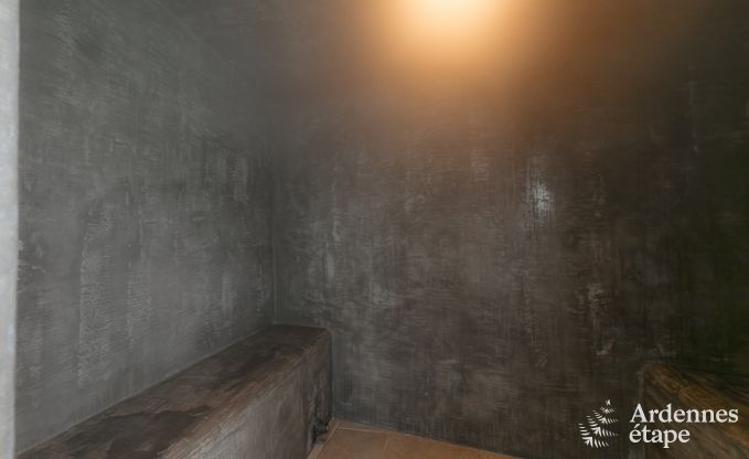 Luxusvilla Vielsalm 7/8 Pers. Ardennen Wellness