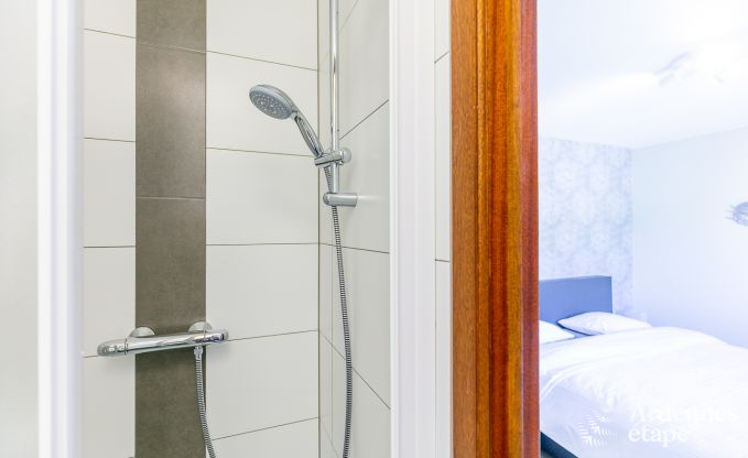 Luxusvilla Vielsalm 12 Pers. Ardennen Wellness