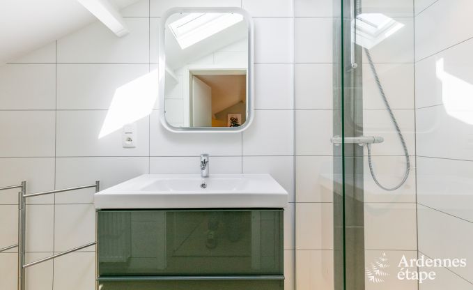 Luxusvilla Vielsalm 12 Pers. Ardennen Wellness