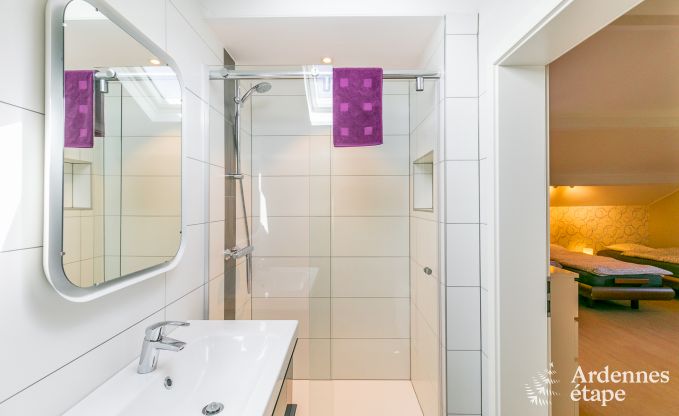 Luxusvilla Vielsalm 12 Pers. Ardennen Wellness