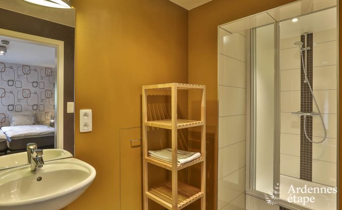 Luxusvilla Vielsalm 21 Pers. Ardennen Schwimmbad Wellness