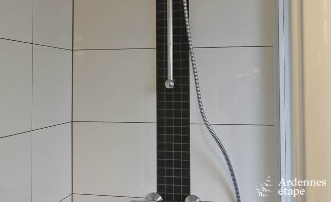 Luxusvilla Vielsalm 21 Pers. Ardennen Schwimmbad Wellness