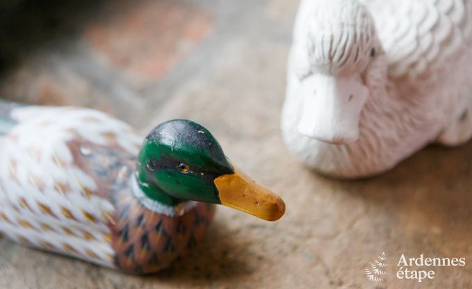 Wohnung Vielsalm 2 Pers. Ardennen