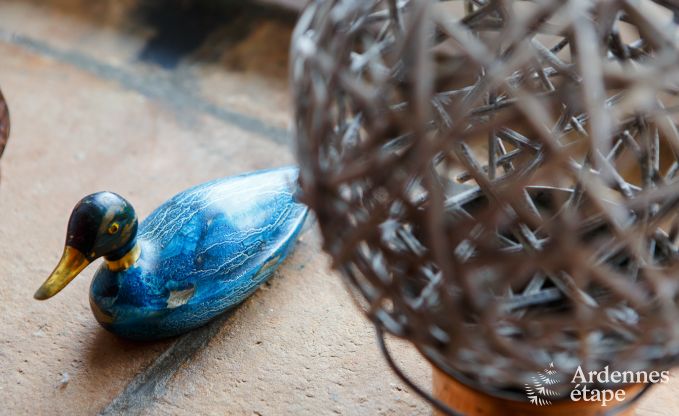 Wohnung Vielsalm 2 Pers. Ardennen