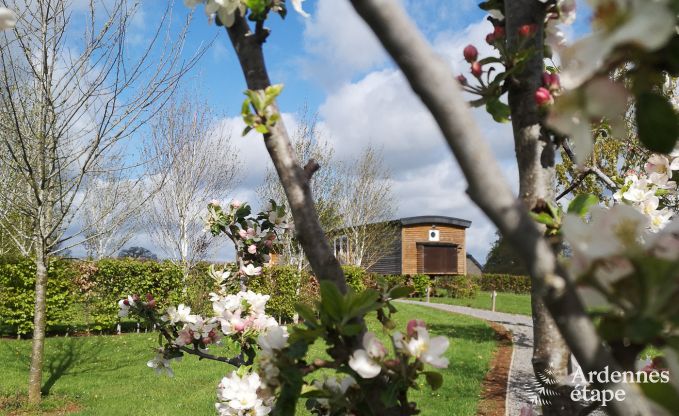 au�ergew�hnliche Ferienwohnung Vielsalm 4 Pers. Ardennen Wellness