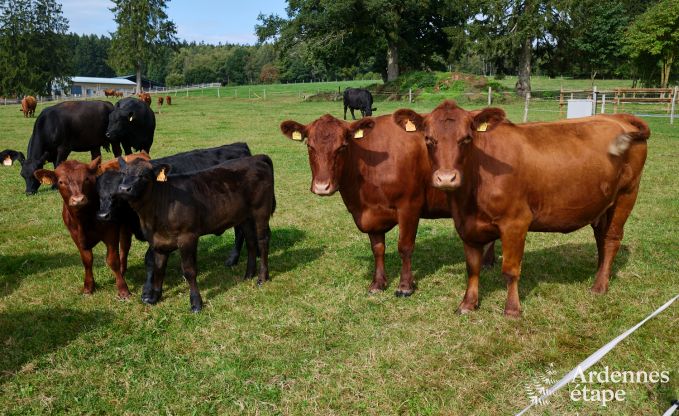 Romantische Jurte in Vielsalm: komfortabler Aufenthalt mit privatem Garten, Terrasse und gesichertem Fahrradabstellplatz
