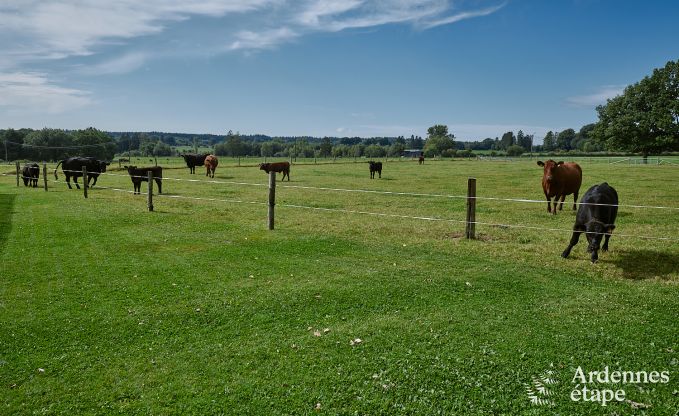 Einzigartige Jurte fr 2 Personen in Vielsalm mit modernem Badezimmer, Privatgarten und Fahrradabstellplatz