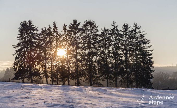 Chalet Vielsalm 4/5 Pers. Ardennen