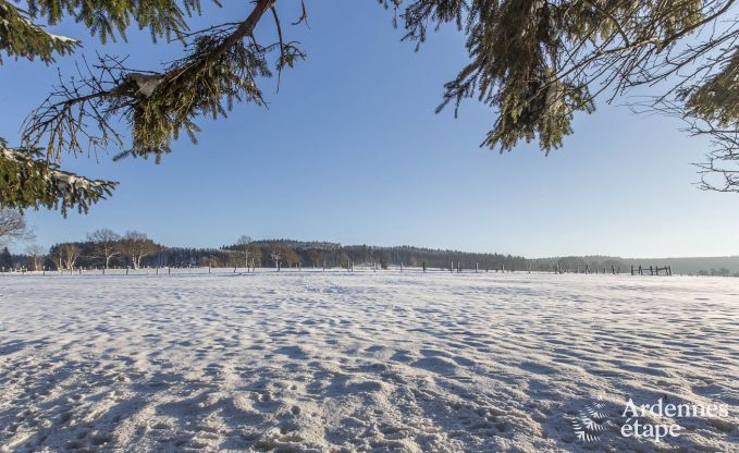 Chalet Vielsalm 4/5 Pers. Ardennen