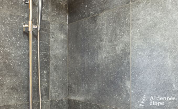 Chalet Vielsalm 7 Pers. Ardennen Wellness