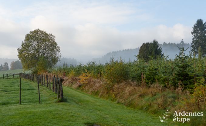 Ferienhaus Vielsalm 4 Pers. Ardennen