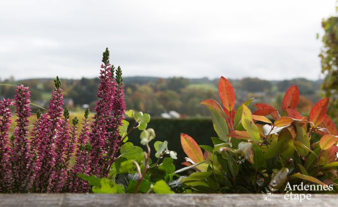 Ferienhaus Vielsalm 4 Pers. Ardennen