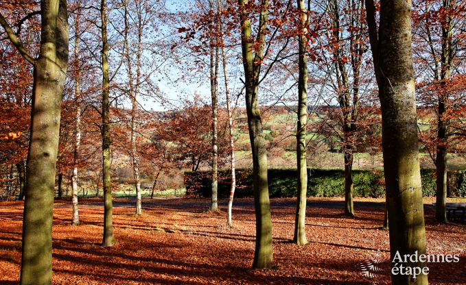 Ferienhaus Vielsalm 13/14 Pers. Ardennen