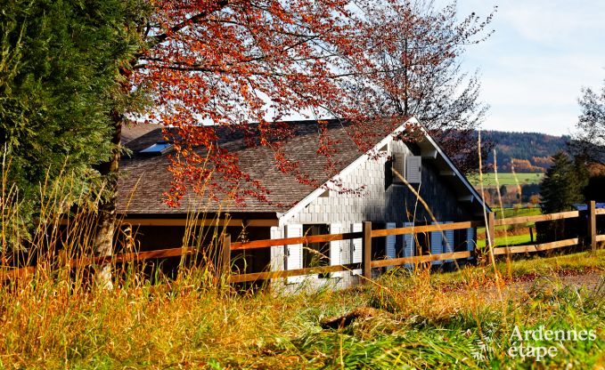 Ferienhaus Vielsalm 13/14 Pers. Ardennen