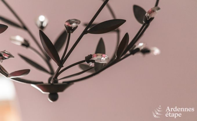 Ferienhaus Vielsalm 6 Pers. Ardennen